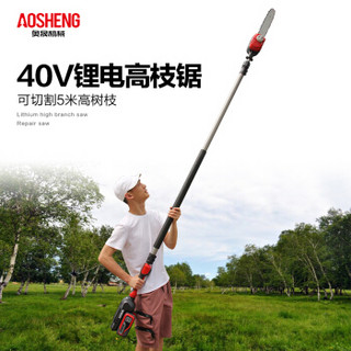 奥晟机械 aoshengjixie H40GZ12 锂电高枝锯 高空修剪树枝锯 电动伸缩杆链锯 充电式绿化园林工具