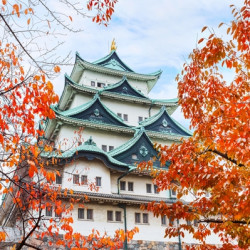 南航搞事情喽？上海直飞名古屋