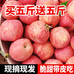 陕西冰糖心红富士苹果新鲜水果10斤装(果径70MM-80MM)不打蜡包邮