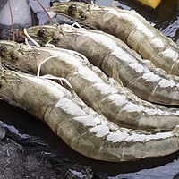 我爱渔生冻厄瓜多尔进口南美大白虾1.5KG/盒78-90/只大海虾 *3件