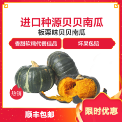 新疆贝贝小南瓜板栗味南瓜2.5斤