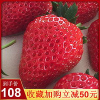 丹东 99草莓新鲜 3斤