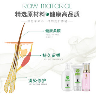 wowo 蜗蜗 生姜纯姜洗发水300ml