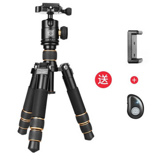  轻装时代 Q166A 便携 迷你三脚架+云台