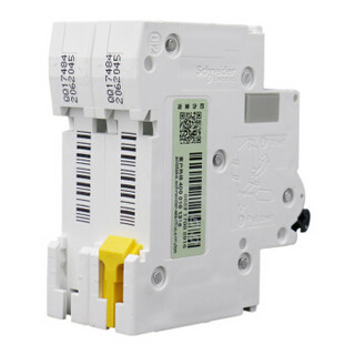 施耐德电气（Schneider Electric）直流断路器 空气开关 A9系列 C65H-DC 2P C25A A9N22078 可定制