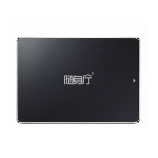 随身厅（ESALEB）固态硬盘1T SR-SSD-1000
