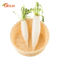 康乐欣 农家自种白萝卜 新鲜蔬菜 4.5kg 畅享装