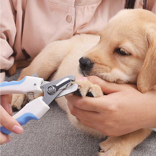 疯狂的小狗 宠物指甲剪狗狗指甲钳猫咪指甲刀小型犬泰迪美容工具 蓝色大号