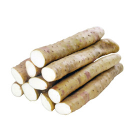 小白嘴 长山药  非铁棍山药 5斤装