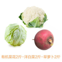 唐鲜生 新鲜蔬菜组合 京东生鲜 有机菜花2斤洋白菜2斤旱萝卜2斤