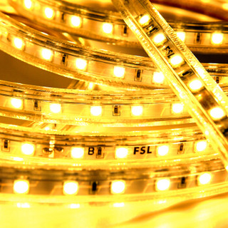 FSL 佛山照明 LED软灯带灯