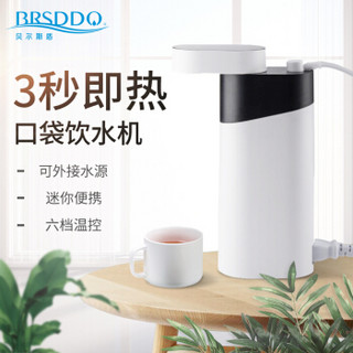 贝尔斯盾（BRSDDQ）电热水瓶即热式电水壶饮水机旅行便携式迷你家用微型智能鲜水机 YSJ-49（白色）