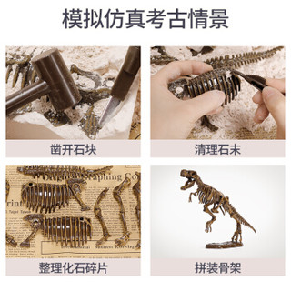 鑫思特 儿童恐龙化石考古挖掘玩具diy手工制作拼装霸王龙骨架模型男孩益智玩具 霸王龙款