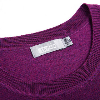 红豆（Hodo）男装 针织衫男商务休闲男士纯色圆领套头针织衫 P1紫色 185/100A