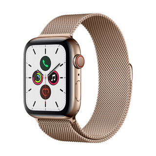 Apple Watch Series 5智能手表（GPS 蜂窝网络款 44毫米金色不锈钢表壳 金色米兰尼斯表带 MWWJ2CH/A)