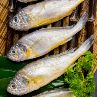 商品渔港 冷冻渤海小黄鱼 1.2kg 24-30条