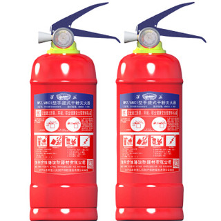 淮海干粉灭火器1公斤 车载灭火器 小汽车用灭火器家庭用商用消防灭火器1kg消防器材MFZ/ABC1 两个装