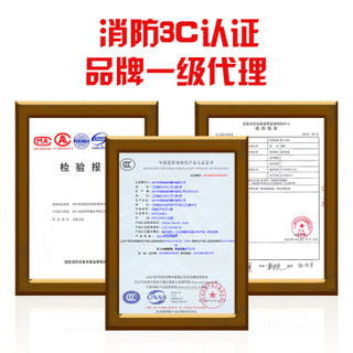 淮海干粉灭火器1公斤 车载灭火器 小汽车用灭火器家庭用商用消防灭火器1kg消防器材MFZ/ABC1 两个装