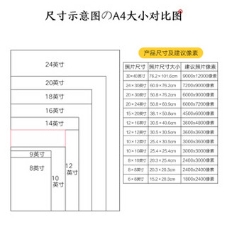 Kodak 柯达 全家福照片 大尺寸照片冲印 合影照  柯达相纸  12×12英寸