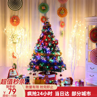 捷昇 圣诞树套餐装饰品圣诞节礼物发光彩灯加密枝头创意礼品带配件挂饰 2.1米豪华套餐