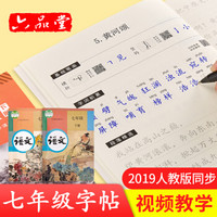 六品堂 七年级语文字帖下册同步人教版2019初中生衡水体中文初一正楷初中钢笔古诗词练字帖中学生楷书练字本