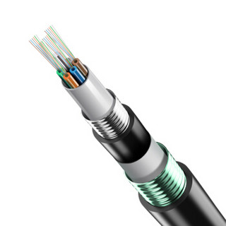 普天汉飞（POTEL）室外单模光缆GYTA53-24B1.3 24芯加强铠装光纤通讯地埋光缆100米 长度定制