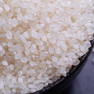 稻可道 东北珍珠米 东北大米   粳米5kg