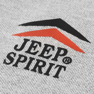 吉普JEEP 长袖T恤男POLO衫2019秋季新品翻领纯色棉质男士男装上衣RSC96036 黑色 L