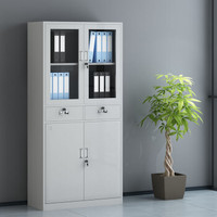 锐达星文件柜办公柜钢制铁皮柜资料档案柜中二斗玻璃文件柜经济款可定制