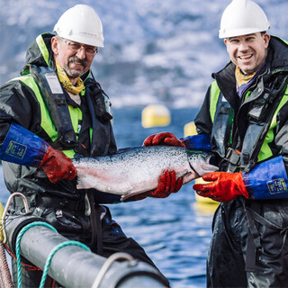 渔天下 冷冻挪威三文鱼整条圆切礼盒4kg 海鲜礼盒
