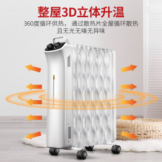 先锋（Singfun）取暖器 电暖器 电暖气家用 11片大热浪专利电油汀 节能省电 烘衣加湿 DS1651