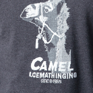 骆驼（CAMEL）男装 2019秋季新款圆领针织衫男微弹保暖打底衫毛衣男 D9H400256 深灰_XXL