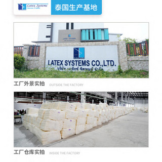 Latex Systems 泰国进口乳胶枕头 93%乳胶含量颈椎枕 高低透气枕-矮款
