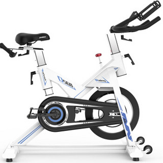 蓝堡动感单车室内静音家用磁控健身车健身器材运动健身车D568 磁控白色