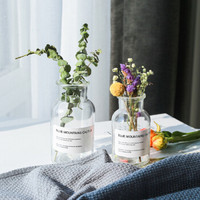 盛世泰堡 花瓶 北欧简约玻璃花瓶摆件 透明水培插花容器 大号+中号