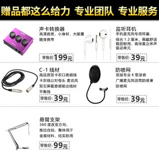 iSK专业麦克风话筒套装 电脑手机通用变声网络k歌喊麦主播直播录音设备全套 S600 电容麦克风 +2nano 声卡