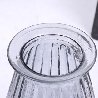 盛世泰堡 花瓶 玻璃花瓶客厅摆件 北欧透明水培干花插花桌面装饰 竖棱款