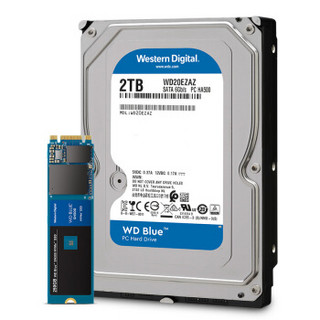 WD 250GB NVMe Blue SN500 SSD  + WD 2TB稳定机械硬盘