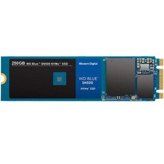 WD 250GB NVMe Blue SN500 SSD  + WD 2TB稳定机械硬盘