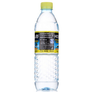 椰树火山岩 天然矿泉水 542ml*24瓶 整箱