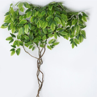 商品盛世泰堡 树藤枯藤藤条装饰假花藤假植物树枝干吊顶室内藤蔓仿真