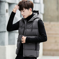 鳄鱼恤 CROCODILE 马甲男2019秋冬新款潮流时尚男士休闲户外运动百搭连帽马甲男士JSWZ  8302 灰色 3XL