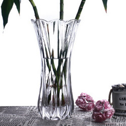 盛世泰堡 花瓶 玻璃大花瓶客厅摆件 富贵竹透明水培插花容器 凤尾款