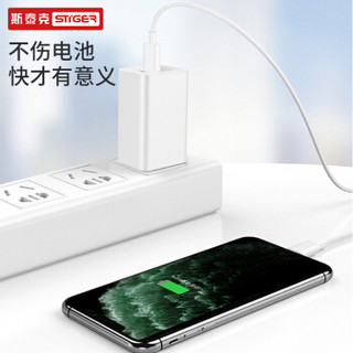 STIGER 斯泰克 苹果PD快充套装充电器 Type-C转Lightning数据线USB-C快充头18W通用iPhone11Pro/XsMax/XR/8P手机