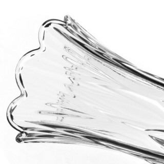贝拉豆北欧玻璃花瓶富贵竹百合水培花器干花仿真花插花摆件HXFW01