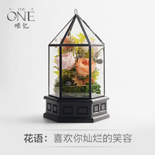 THEONE 唯忆 平安夜圣诞节礼物永生玫瑰花房创意礼品玻璃罩暖灯生日礼物礼盒发光摆件创意表白繁花盛放