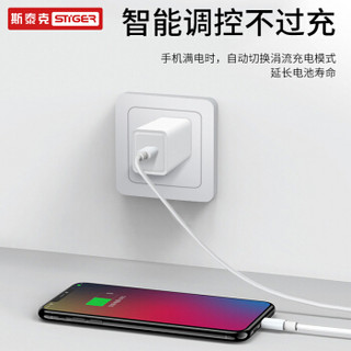 斯泰克 苹果快充PD套装充电器USB-C充电头18W快充头数据线适用iphone11ProMax/8/X/XR/XS手机