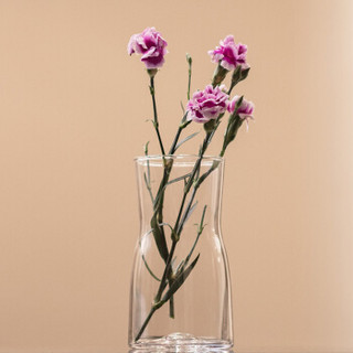 贝拉豆玻璃插花瓶摆件DHH2016011