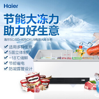 海尔 Haier 商用卧式冰柜 大型商场生活超市展示柜 SC/SD-828CXU9