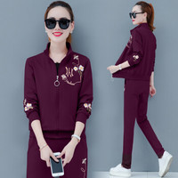 AUDDE 2019秋季新款女装新品卫衣女运动休闲套装女新款三件套韩版宽松跑步运动服潮 zx1BF15-898 紫色 L
